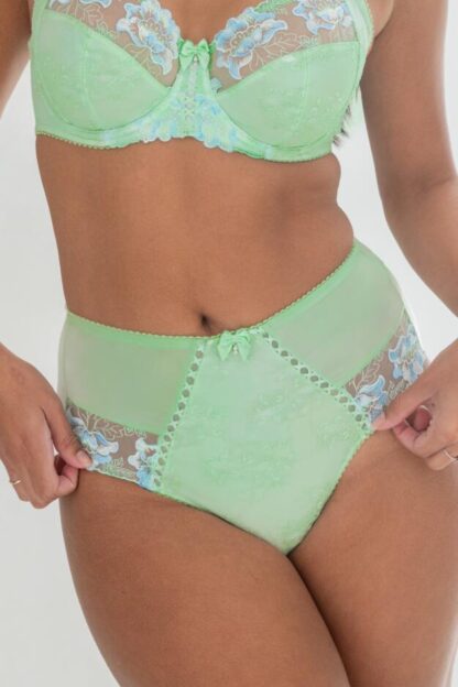 Pour Moi Sofia Lace Embroidered Deep Brief