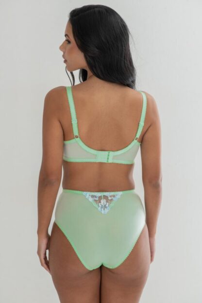 Pour Moi Sofia Lace Embroidered Deep Brief - Image 23