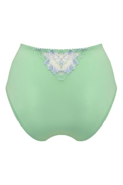 Pour Moi Sofia Lace Embroidered Deep Brief - Image 25