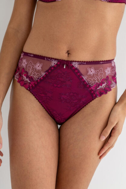Pour Moi Sofia Lace Embroidered Bikini Brief - Image 22