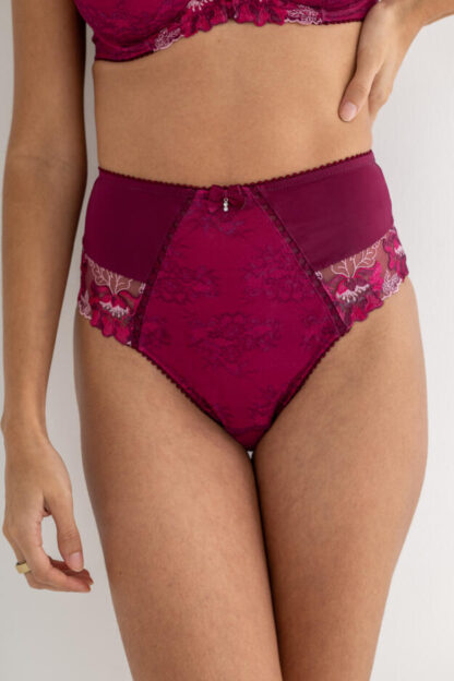 Pour Moi Sofia Lace Embroidered Deep Brief - Image 26