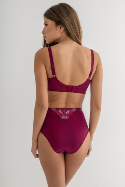 Pour Moi Sofia Lace Embroidered Deep Brief - Image 27