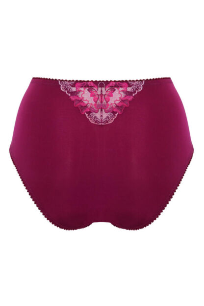 Pour Moi Sofia Lace Embroidered Deep Brief - Image 29