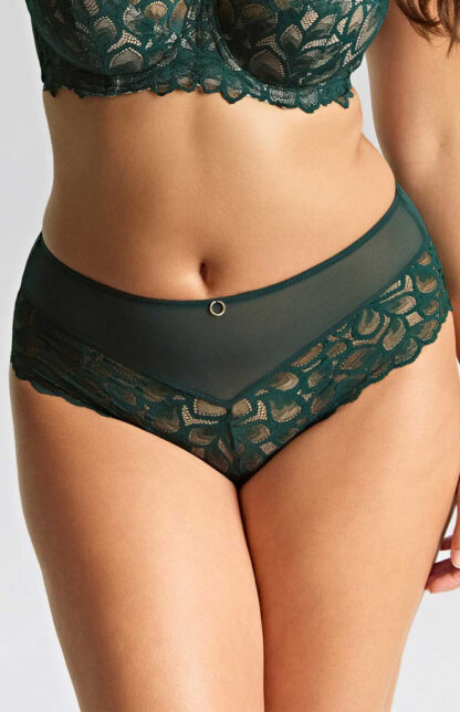 Panache Allure Deep Brief - Image 13