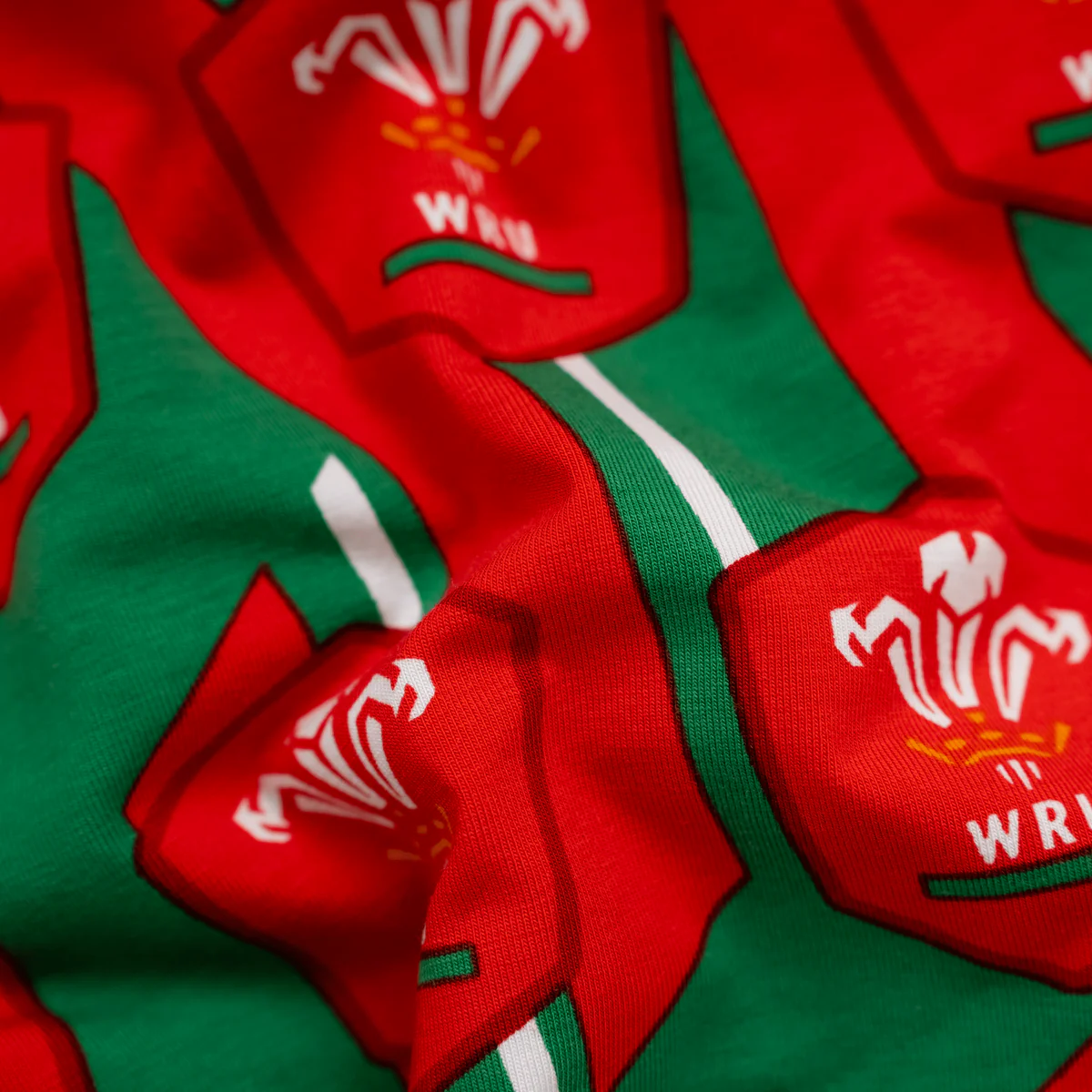 Oddballs Welsh Rugby Union Alternate Ladies Boxers - Image 5